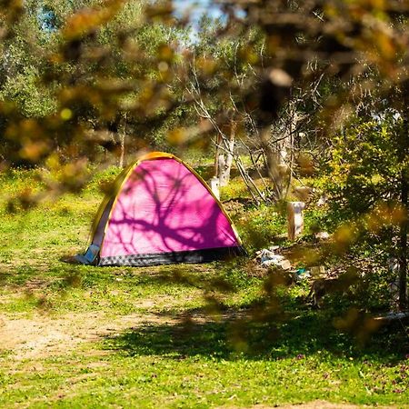 Camping Panorama Hotel Ouazzane Екстериор снимка